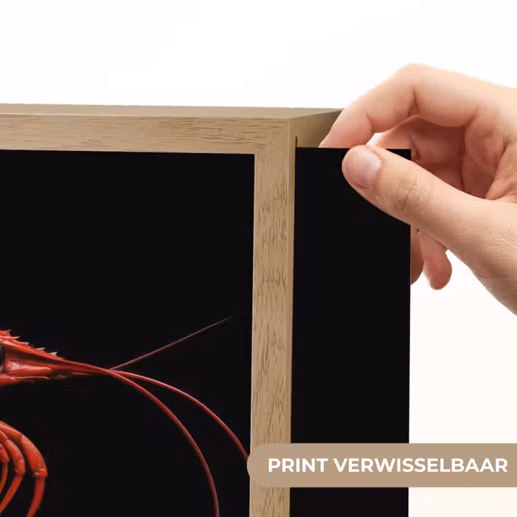 Lightbox - Wandlamp - Garnaal - Rood - Dieren — 5