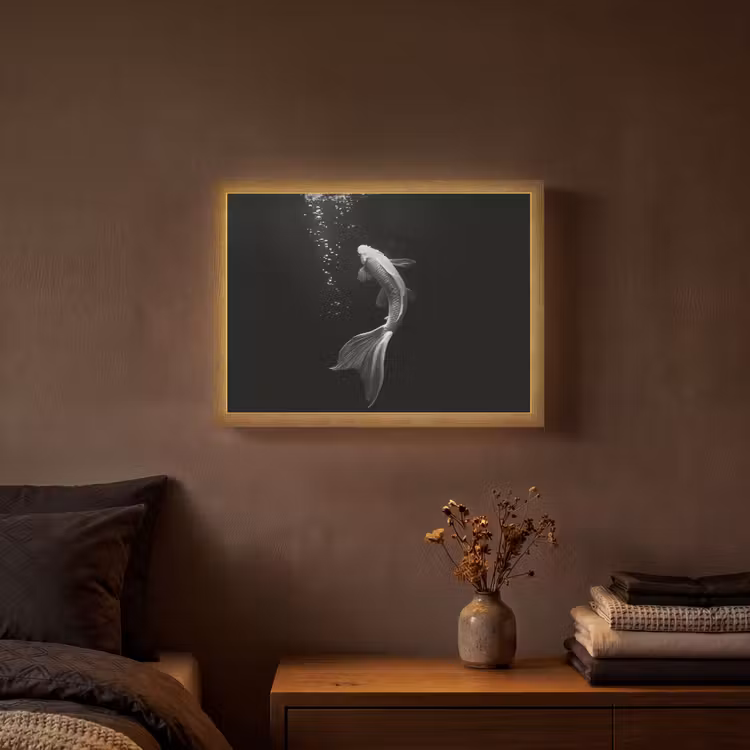 Lightbox - Wandlamp - Koi - Vis - Wit - Zwart — 3