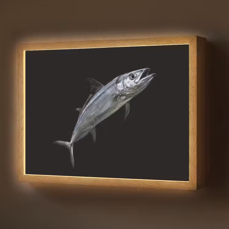 Lightbox - Wandlamp - Makreel - Vis - Zwart — 1