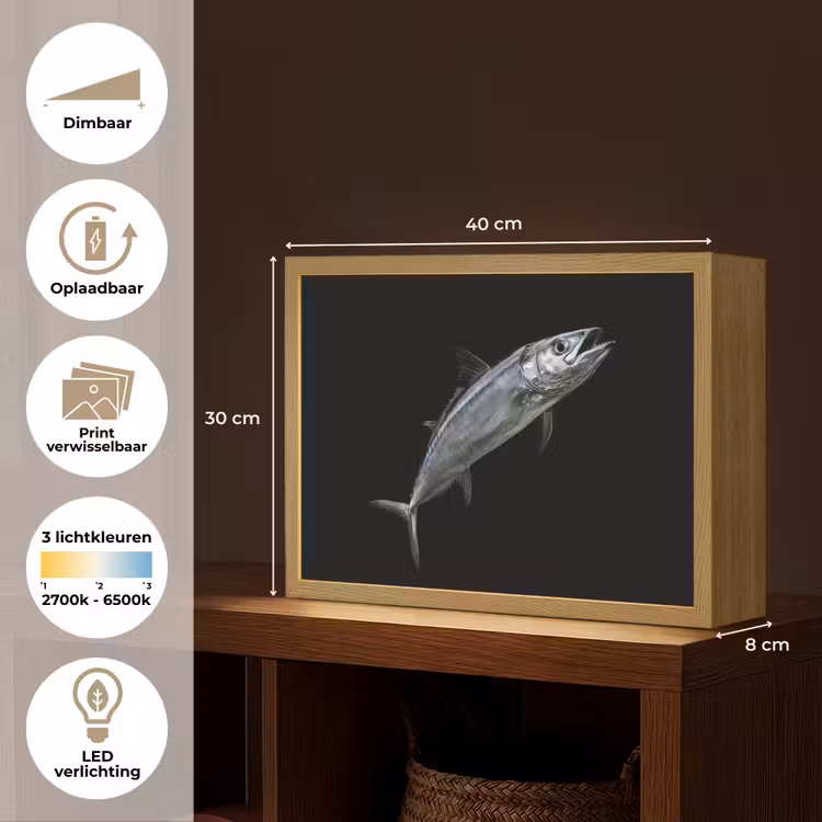 Lightbox - Wandlamp - Makreel - Vis - Zwart — 10