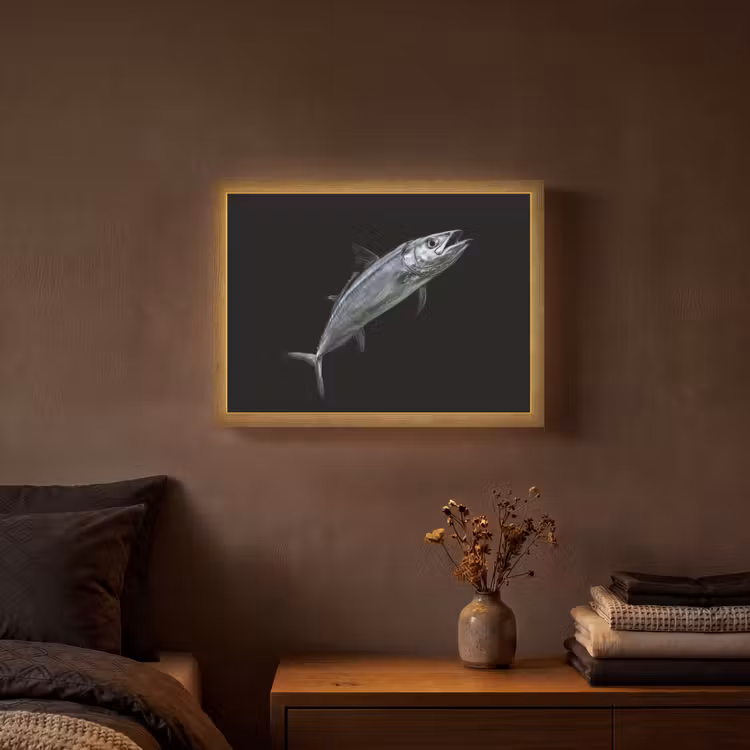 Lightbox - Wandlamp - Makreel - Vis - Zwart — 3