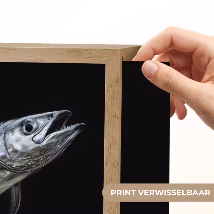Lightbox - Wandlamp - Makreel - Vis - Zwart — 5