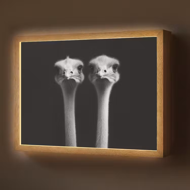 Lightbox - Wandlamp - Struisvogels - Halzen - Zwart - Minimalistisch — 1