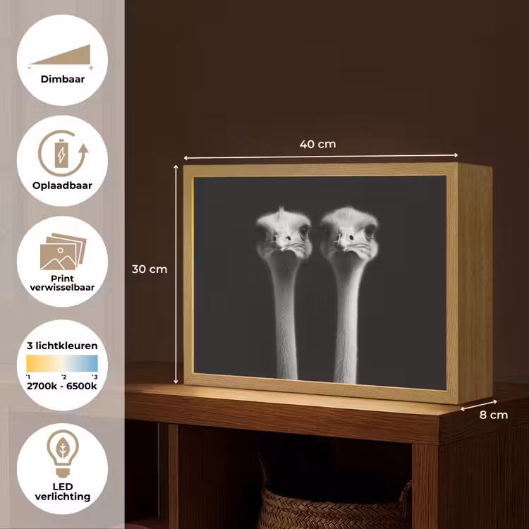 Lightbox - Wandlamp - Struisvogels - Halzen - Zwart - Minimalistisch — 10