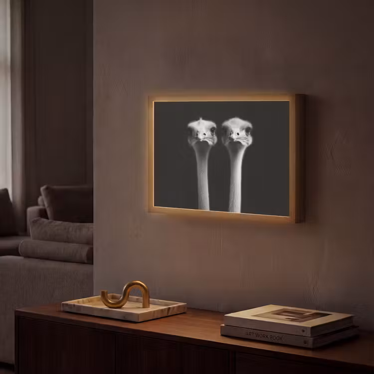 Lightbox - Wandlamp - Struisvogels - Halzen - Zwart - Minimalistisch — 2
