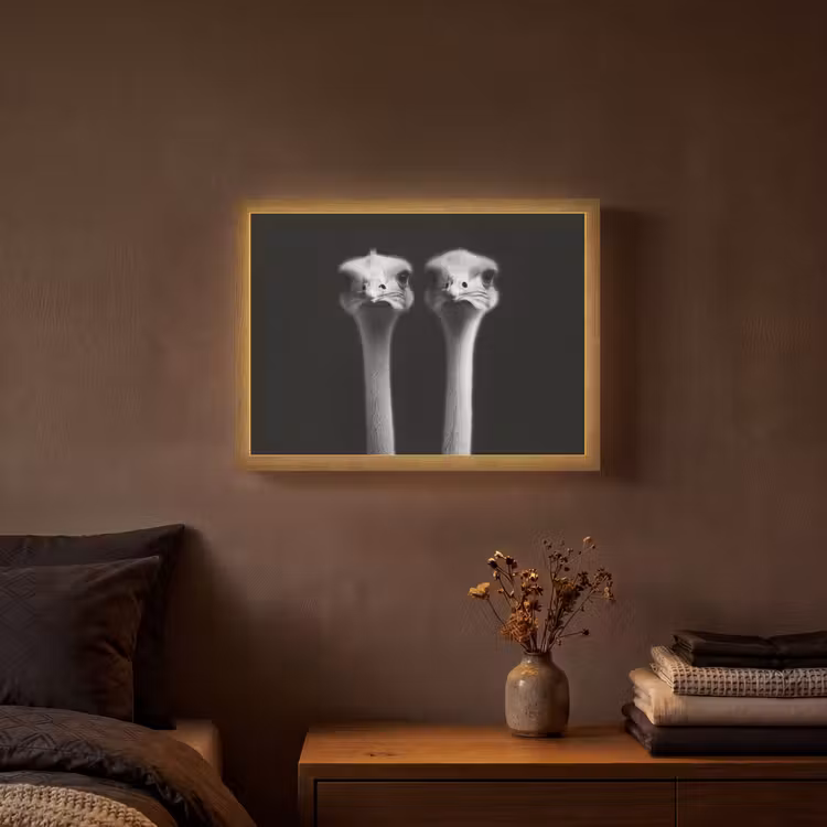 Lightbox - Wandlamp - Struisvogels - Halzen - Zwart - Minimalistisch — 3