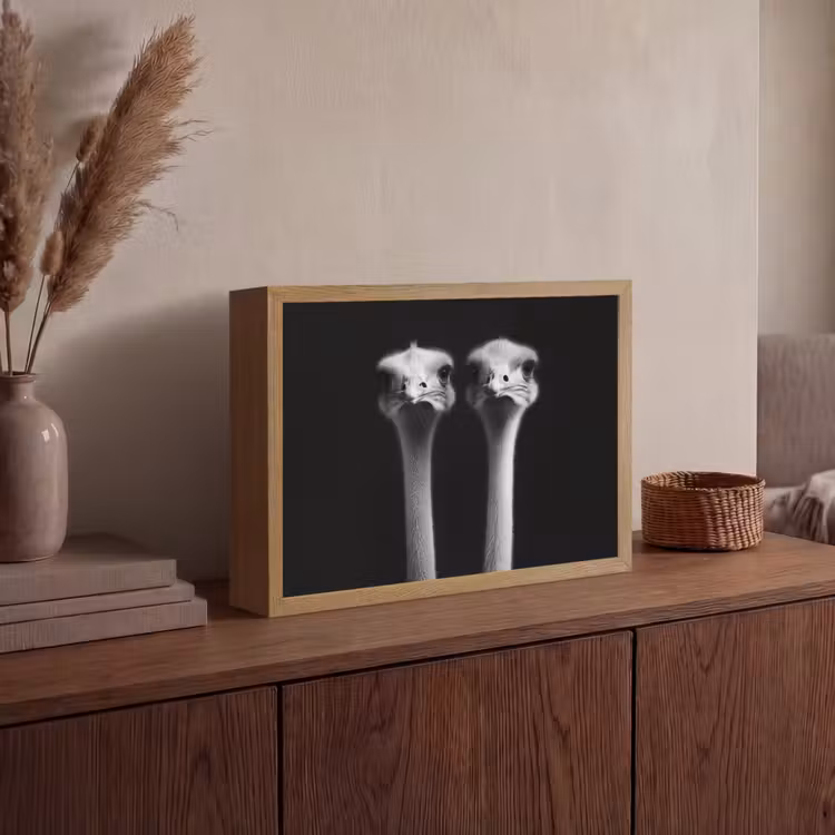Lightbox - Wandlamp - Struisvogels - Halzen - Zwart - Minimalistisch — 4