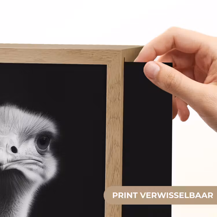 Lightbox - Wandlamp - Struisvogels - Halzen - Zwart - Minimalistisch — 5