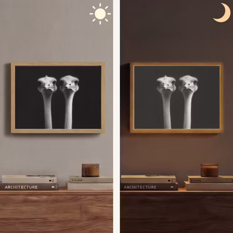 Lightbox - Wandlamp - Struisvogels - Halzen - Zwart - Minimalistisch — 6