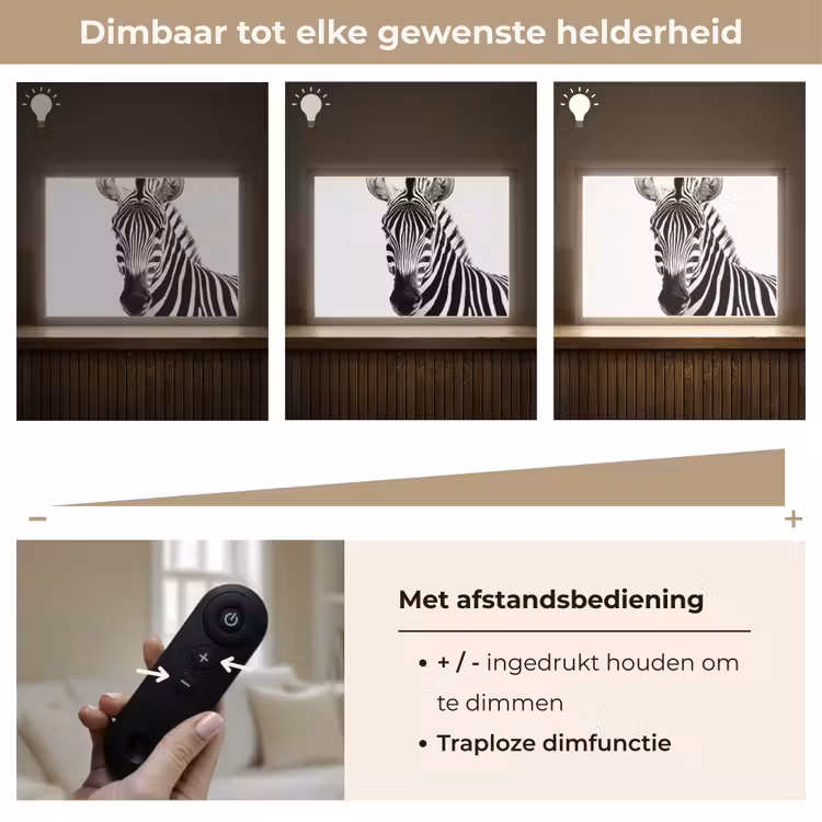 Lightbox - Wandlamp - Zebra - Close-up - Zwart - Strepen — 9