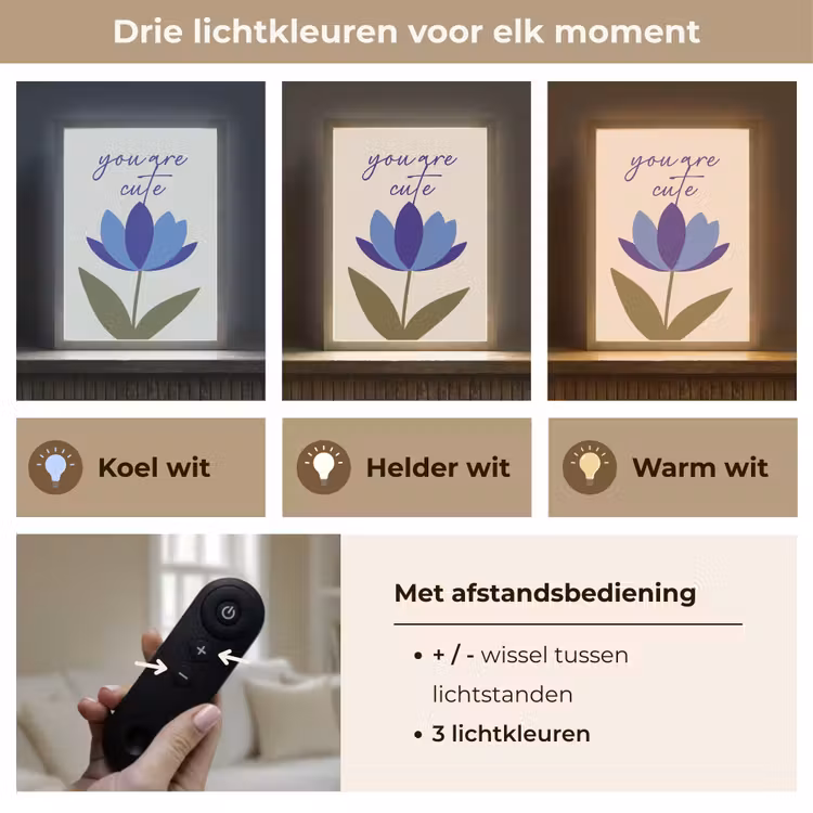 Lightbox - Wandlamp - Korenbloem - Valentijn - Bloem - Blauw — 7