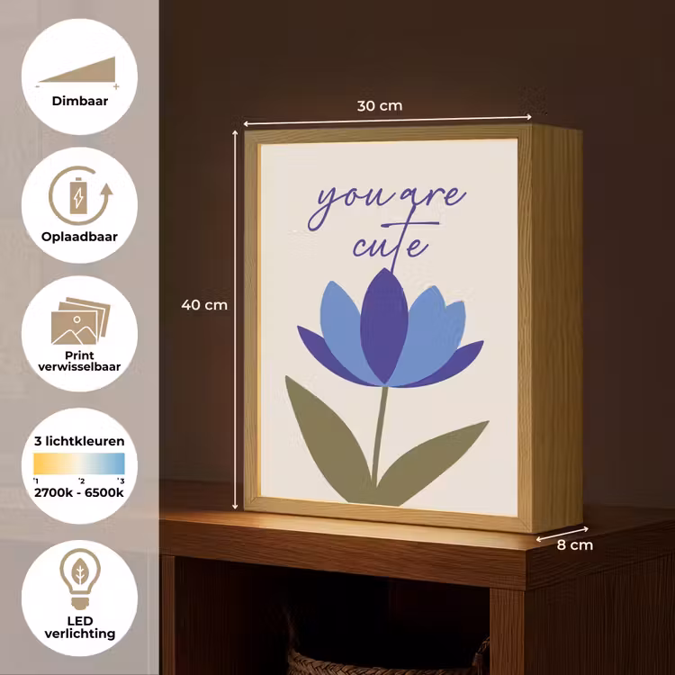 Lightbox - Wandlamp - Korenbloem - Valentijn - Bloem - Blauw — 9
