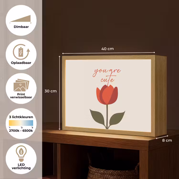 Lightbox - Wandlamp - Roos - Rood - Bloem - Valentijn — 10