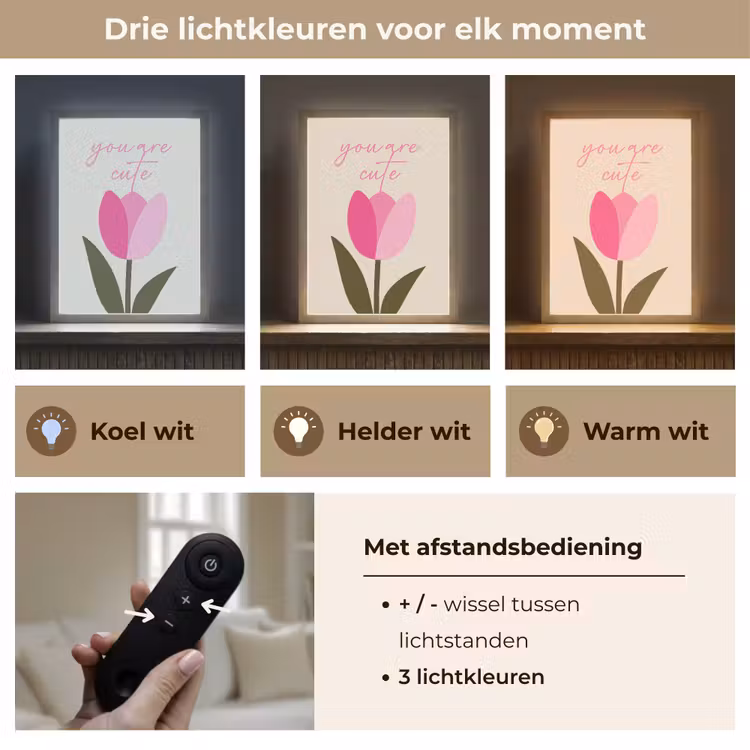 Lightbox - Wandlamp - Tulp - Roze - Valentijn - Bloem — 7