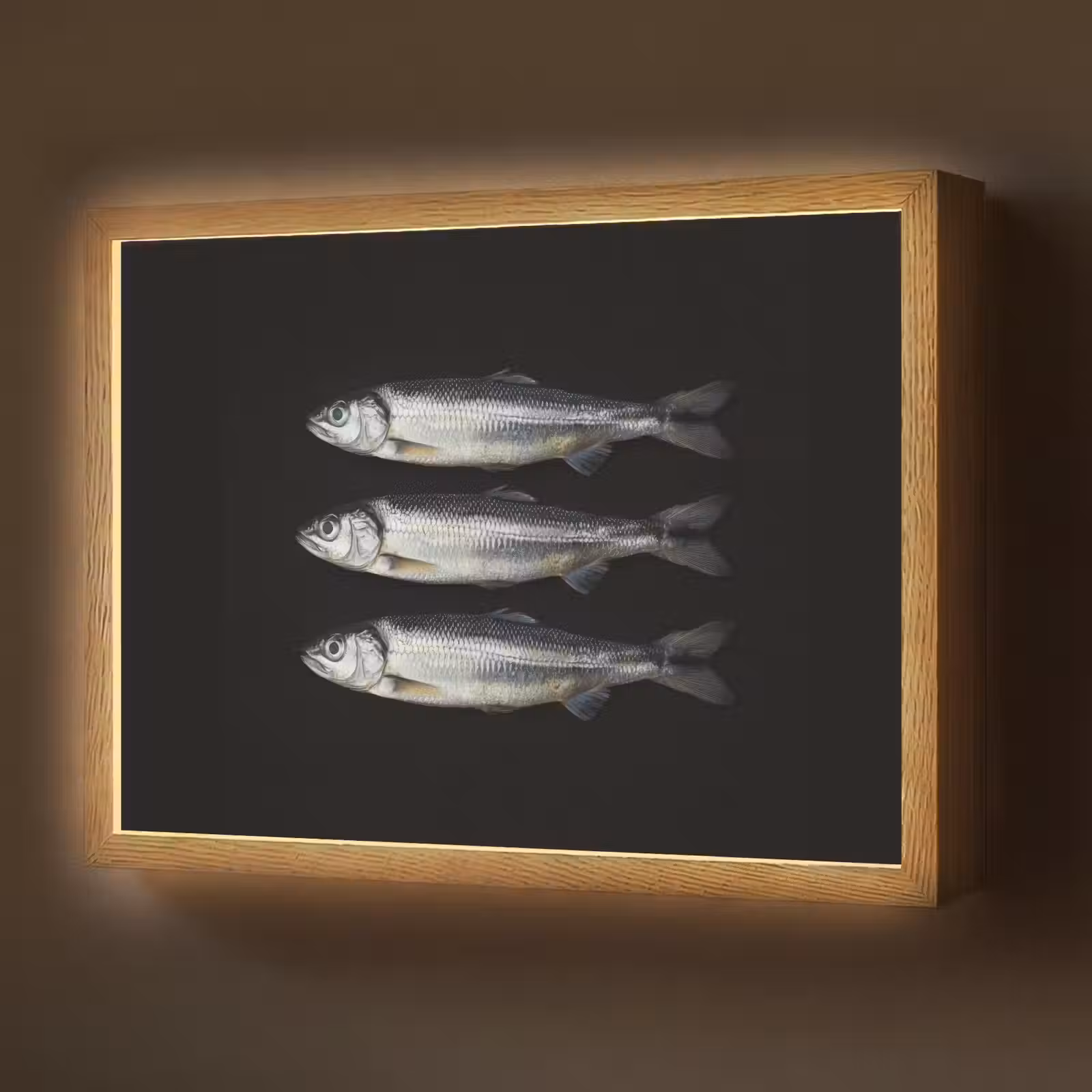 Lightbox - Wandlamp - Haring - Vissen - Zwart — 1