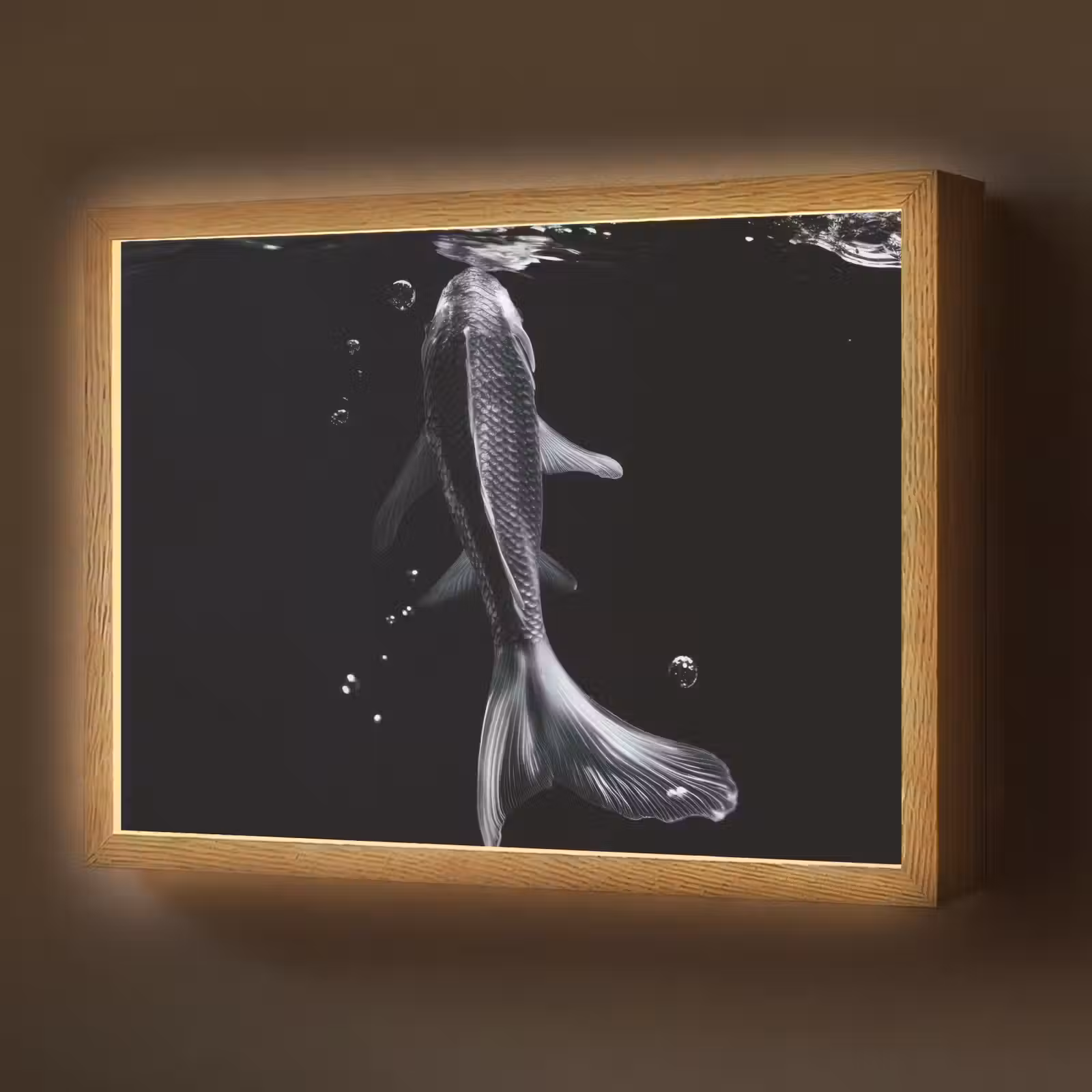 Lightbox - Wandlamp - Koi - Vissen - Water - Zwart — 1