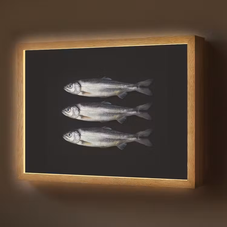 Lightbox - Wandlamp - Haring - Vissen - Zwart — 1
