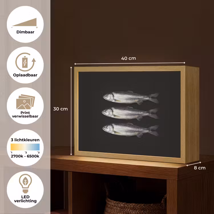 Lightbox - Wandlamp - Haring - Vissen - Zwart — 10