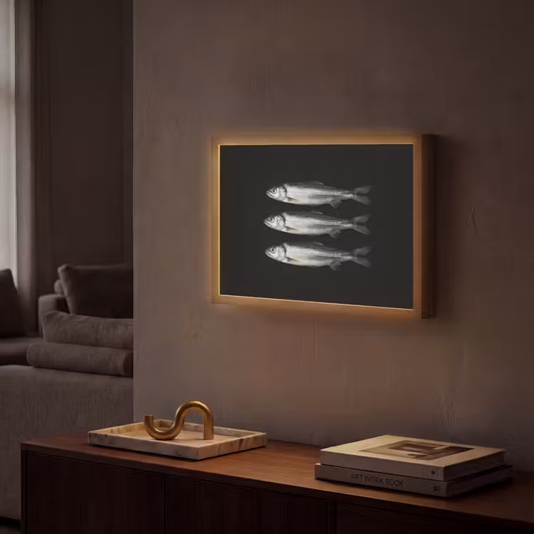 Lightbox - Wandlamp - Haring - Vissen - Zwart — 2