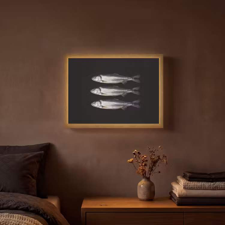 Lightbox - Wandlamp - Haring - Vissen - Zwart — 3