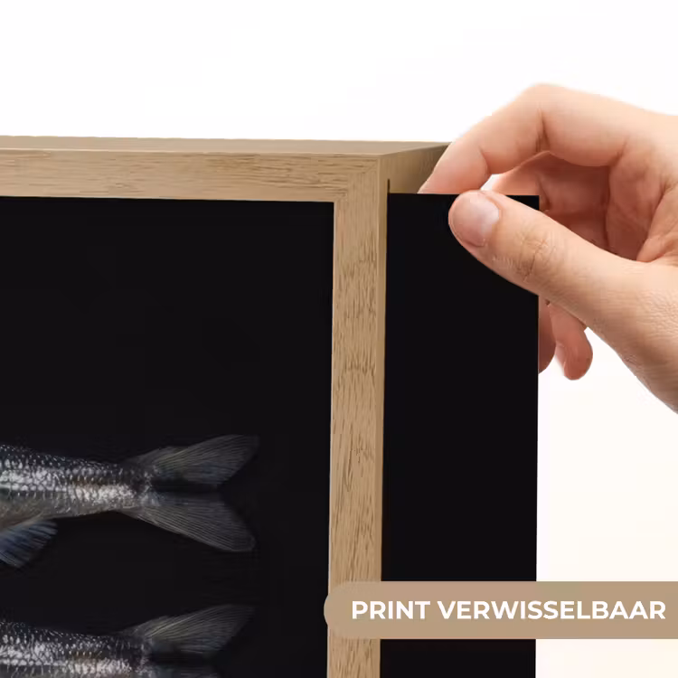 Lightbox - Wandlamp - Haring - Vissen - Zwart — 5
