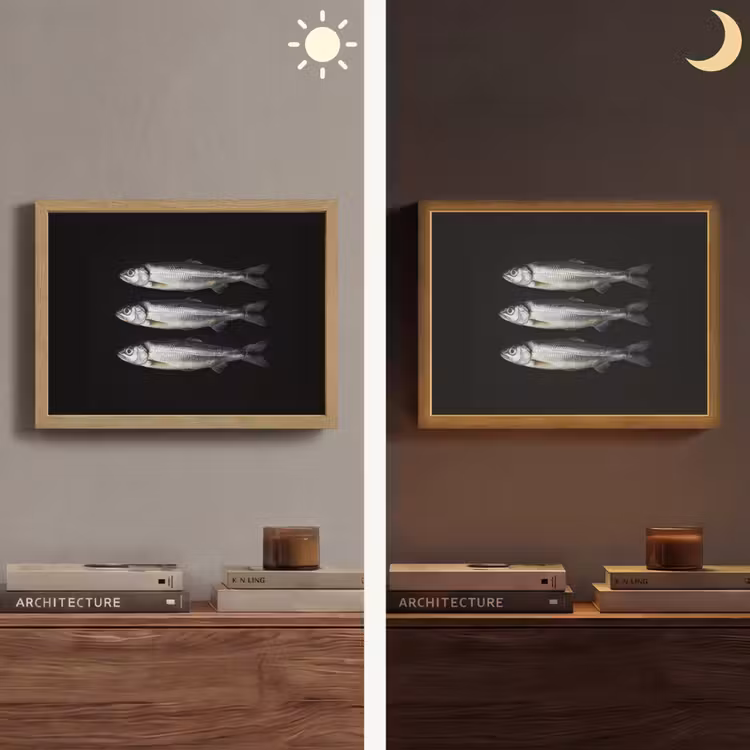 Lightbox - Wandlamp - Haring - Vissen - Zwart — 6