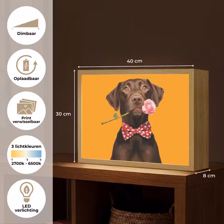 Lightbox - Wandlamp - Hond - Oranje - Roos - Valentijn — 10
