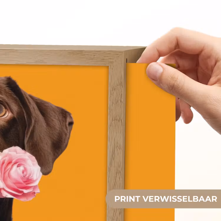 Lightbox - Wandlamp - Hond - Oranje - Roos - Valentijn — 5