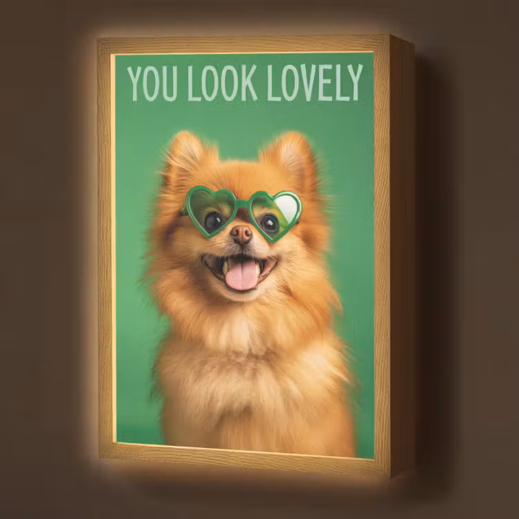 Lightbox - Wandlamp - Hond - Zonnebril - Valentijn - Love — 1