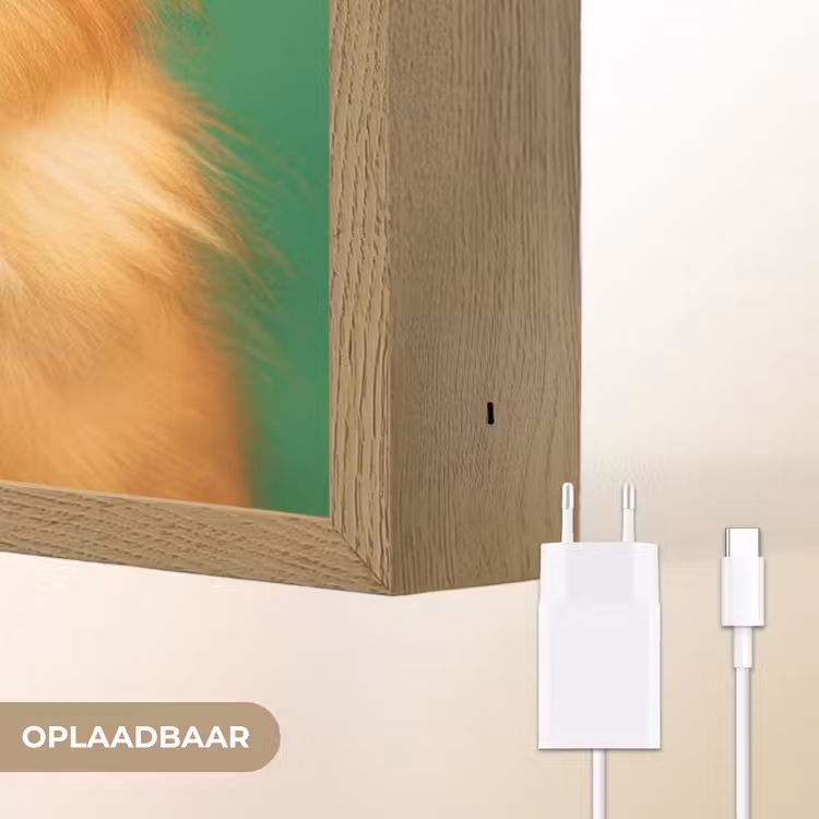 Lightbox - Wandlamp - Hond - Zonnebril - Valentijn - Love — 6
