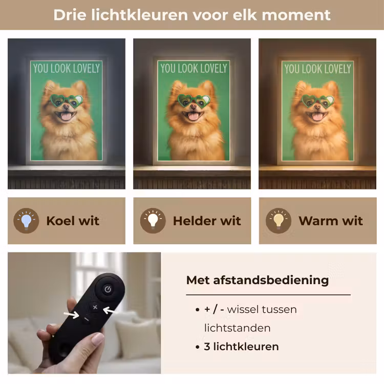 Lightbox - Wandlamp - Hond - Zonnebril - Valentijn - Love — 7