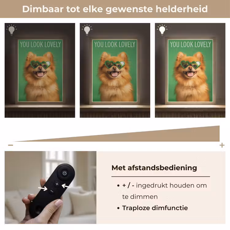 Lightbox - Wandlamp - Hond - Zonnebril - Valentijn - Love — 8