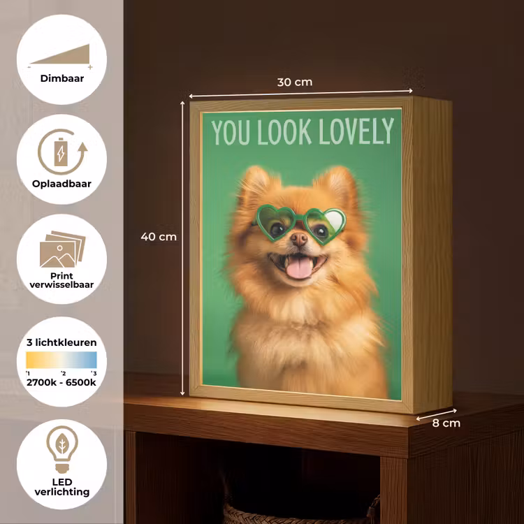 Lightbox - Wandlamp - Hond - Zonnebril - Valentijn - Love — 9
