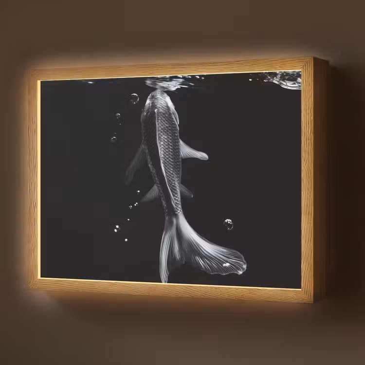 Lightbox - Wandlamp - Koi - Vissen - Water - Zwart — 1