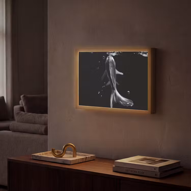 Lightbox - Wandlamp - Koi - Vissen - Water - Zwart — 2