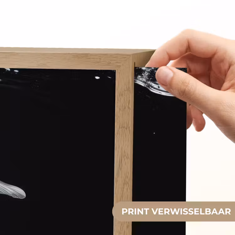 Lightbox - Wandlamp - Koi - Vissen - Water - Zwart — 5