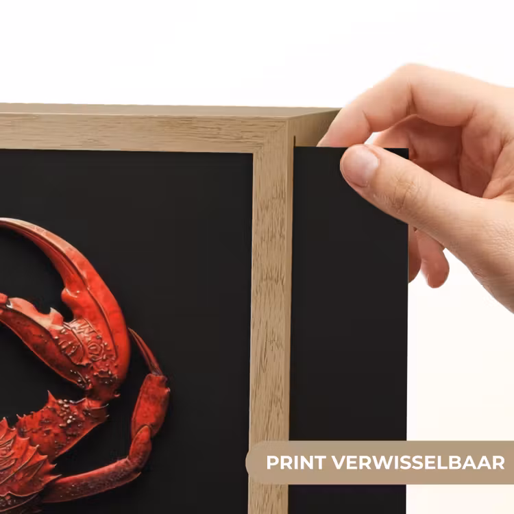 Lightbox - Wandlamp - Krab - Rood - Vissen - Schaaldieren — 5