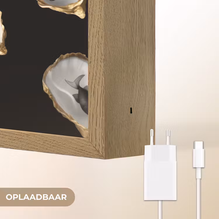 Lightbox - Wandlamp - Oesters - Zwart - Vissen - Goud — 7