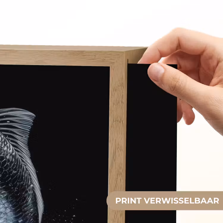 Lightbox - Wandlamp - Vis - Koi - Zwart - Water — 5