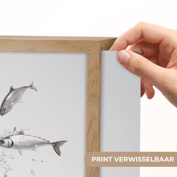 Lightbox - Wandlamp - Vissen - Water - Wit — 5