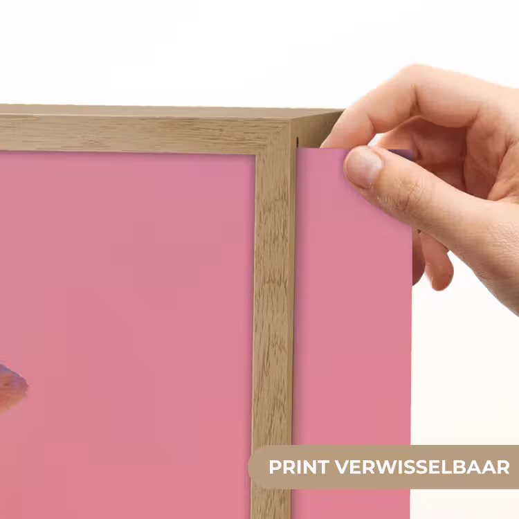 Lightbox - Wandlamp - Hoorntje - Schepijs - Roze — 5