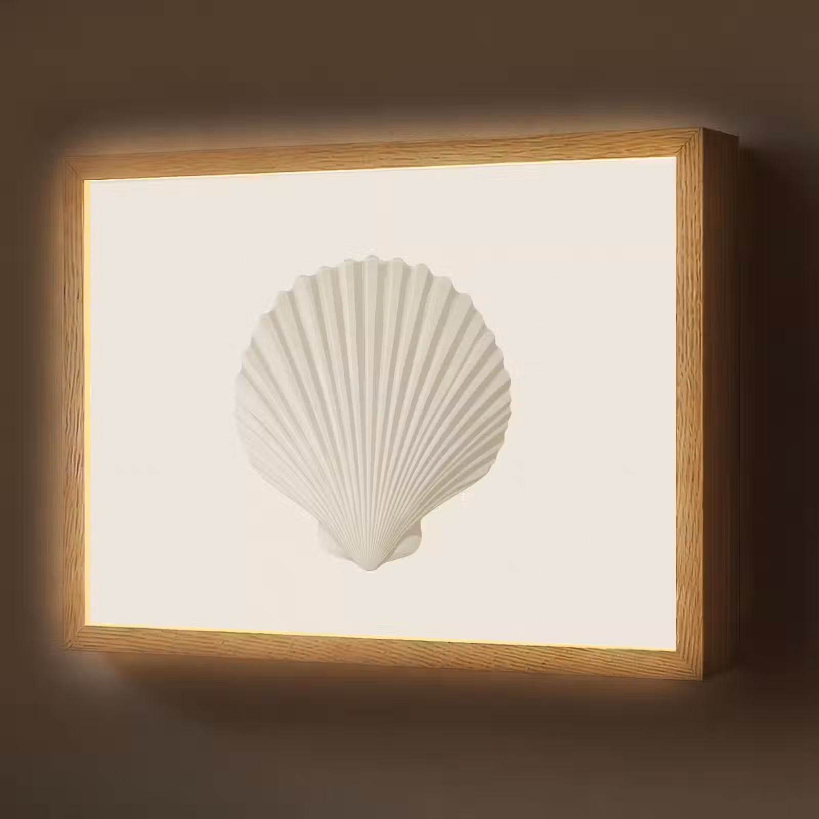 Lightbox - Wandlamp - Schelp - Minimalistisch - Wit — 1