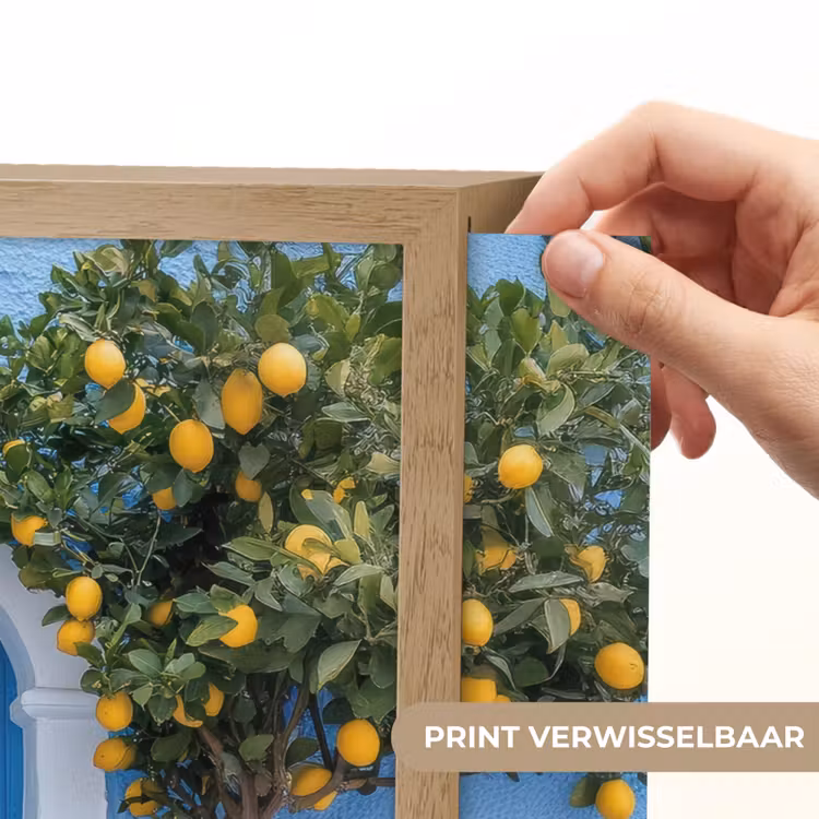 Lightbox - Wandlamp - Citroenbomen - Geel - Deur - Potten — 5