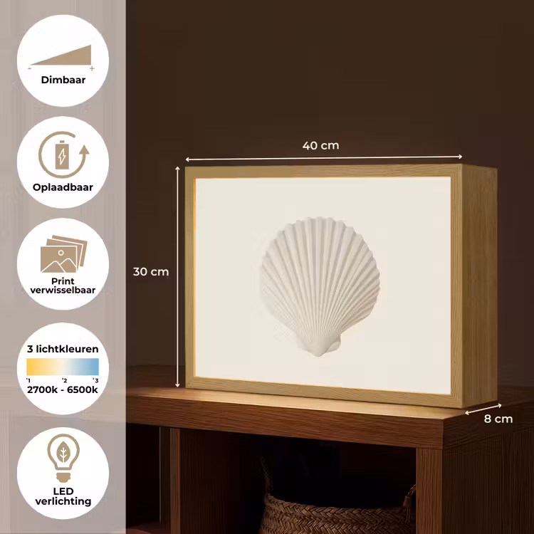 Lightbox - Wandlamp - Schelp - Minimalistisch - Wit — 10