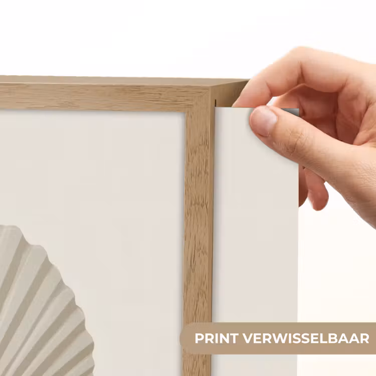 Lightbox - Wandlamp - Schelp - Minimalistisch - Wit — 5