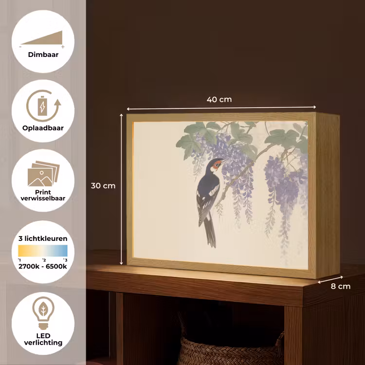 Lightbox - Wandlamp - Specht - Bloemen - Paars — 10