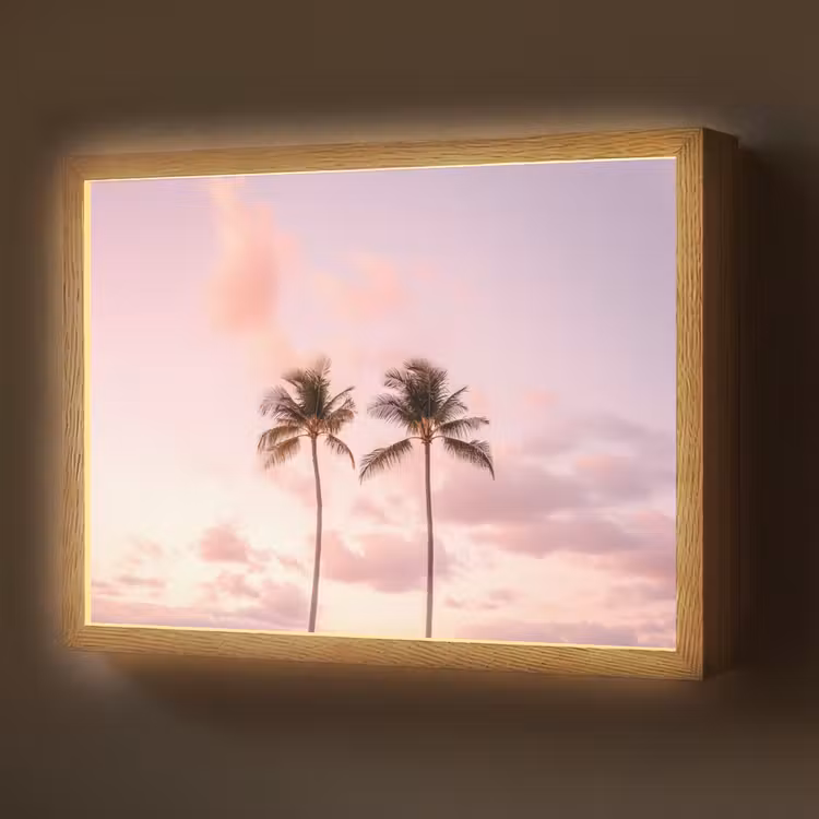 Lightbox - Wandlamp - Palmbomen - Paars - Wolken - Lucht — 1