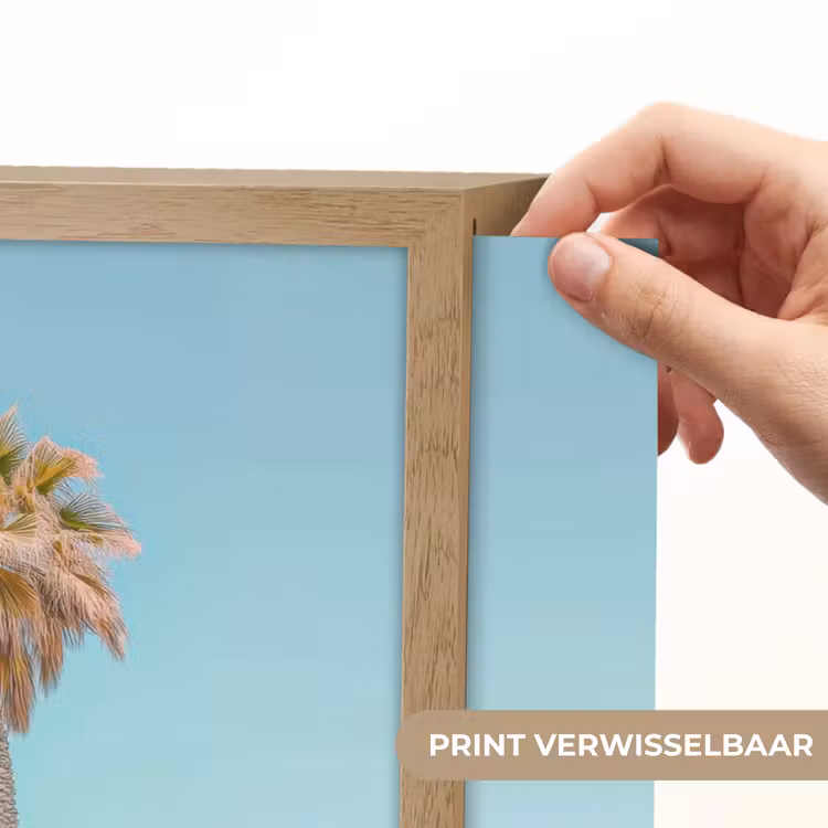 Lightbox - Wandlamp - Palmboom - Strandhuis - Roze — 5