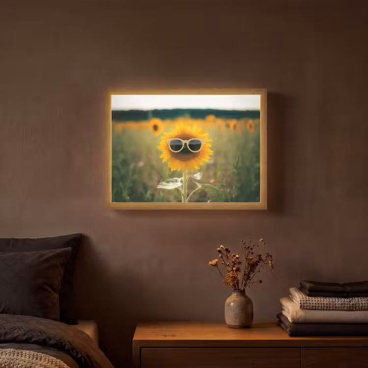 Lightbox - Wandlamp - Zonnebloem - Veld - Zonnebril — 3