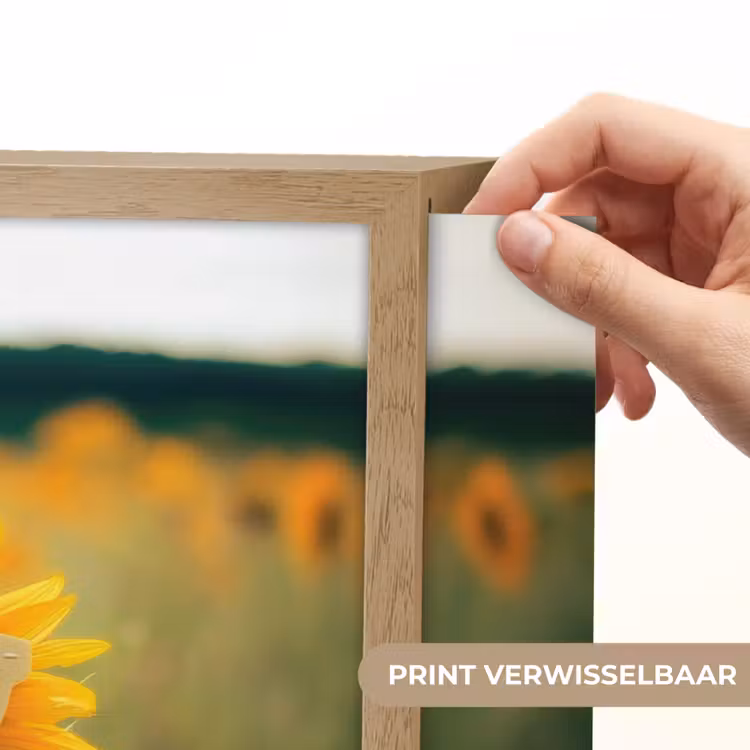 Lightbox - Wandlamp - Zonnebloem - Veld - Zonnebril — 5